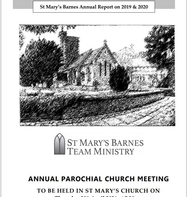 APCM Report 2019 & 2020