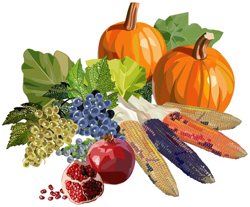 Harvest Festival Service & Brunch